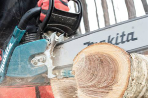 Makita Chainsaws