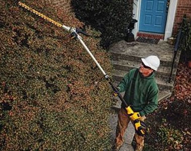 Dewalt 40v pole hedge trimmer discount