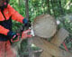 Makita EA5600FRGG