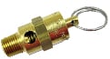 Safety Relief Valve