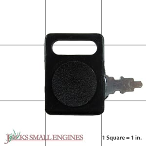 Electric Start Key with Cap 02460700