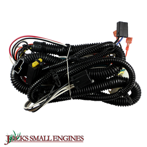 Wiring Harness (No Longer Available) 21546568