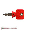 Molded Key