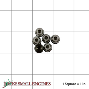 Check Valve Kit 317897GS