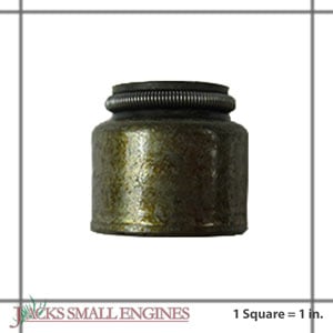 690968 Valve Seal