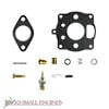 Carburetor Overhaul Kit 