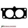 Intake Gasket