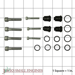 193806GS Check Valve Kit  (No Longer Available)