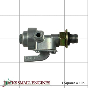 310574GS Fuel Valve