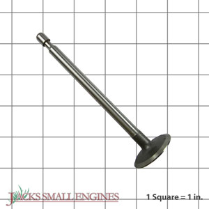 690429 Intake Valve