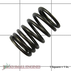 690520 Valve Spring