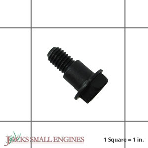 690940 Screw