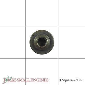 Valve Cap 691300