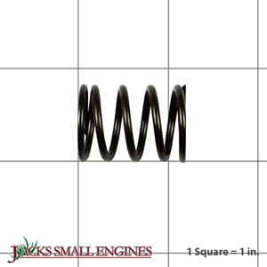 691304 Valve Spring