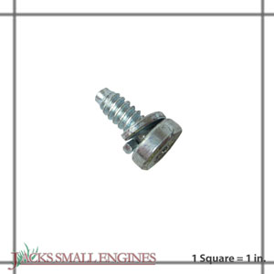 691437 Screw