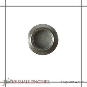 Valve Cap 691843
