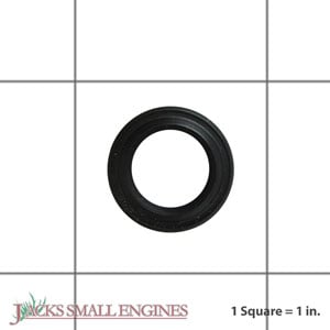 Governor Shaft Seal 790574