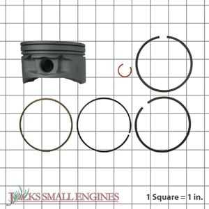 Piston Kit 791786