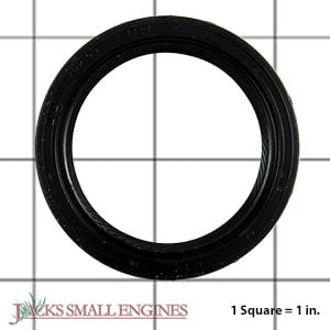 Oil Seal 795387