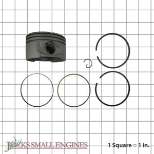 Piston Kit 799064