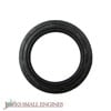 Oil Seal