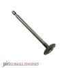 Intake Valve