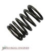 Valve Spring