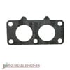 Intake Gasket