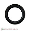 Oil Seal