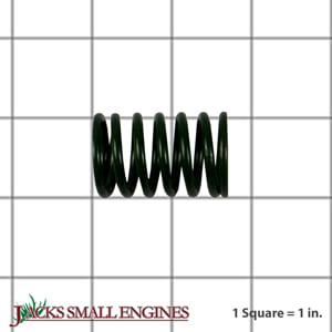 Valve Spring 0D3867