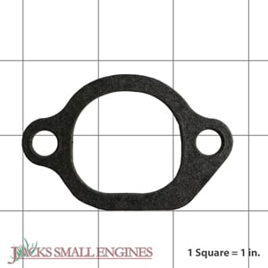 0C3043 Intake Gasket