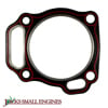 Cylinder Head Gasket