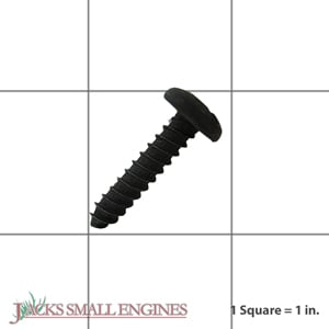 82620 Torx Screw