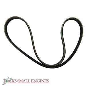 22431V10013 Ribbed V Belt