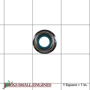 10mm Lock Nut 90302VH8760