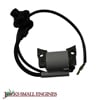 Ignition Coil Assembly