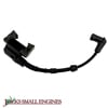 Ignition Coil Assembly