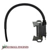 Ignition Coil Assembly