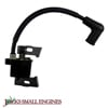 Ignition Coil Assembly