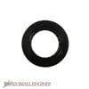 Oil Seal