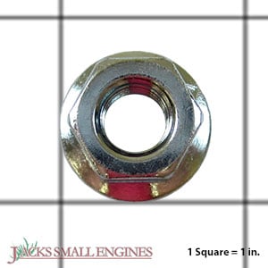 Bar Nuts 503220001