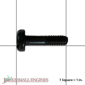 503203419 Screw