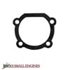 Crankcase Gasket