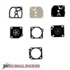 Gasket/Diaphragm Kit