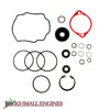 Overhaul Seal Kit   