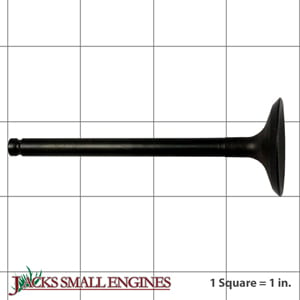 Intake Valve 120040740