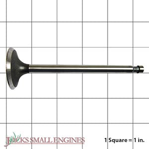 Intake Valve 120042076