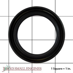 Oil Seal 920497022