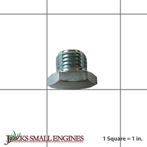 Fuel Bowl Retainer Screw 1208605S