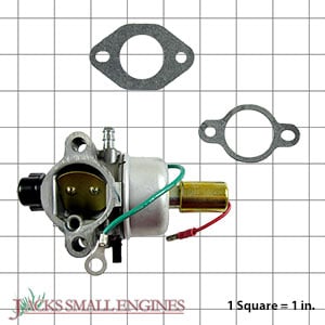 Carburetor with Gaskets 12853178S